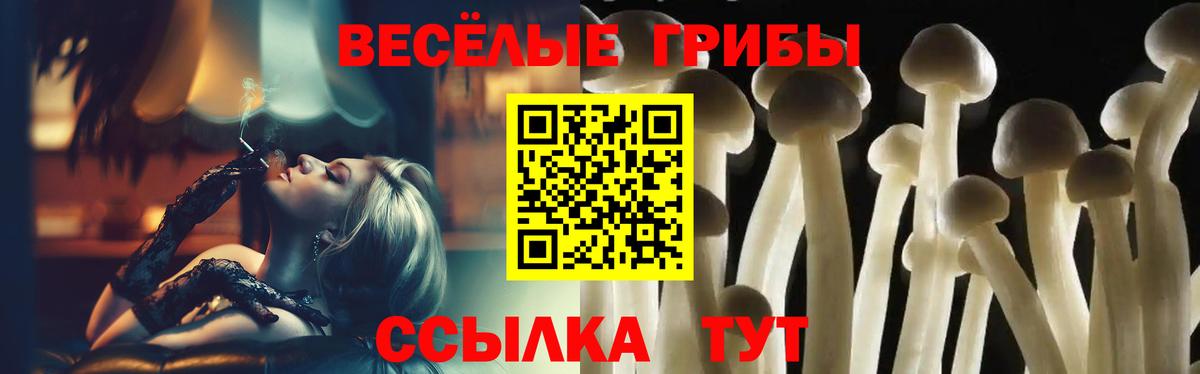 Коряжма  Галлюциногенные грибы MAGIC MUSHROOMS  Вход с VPN 